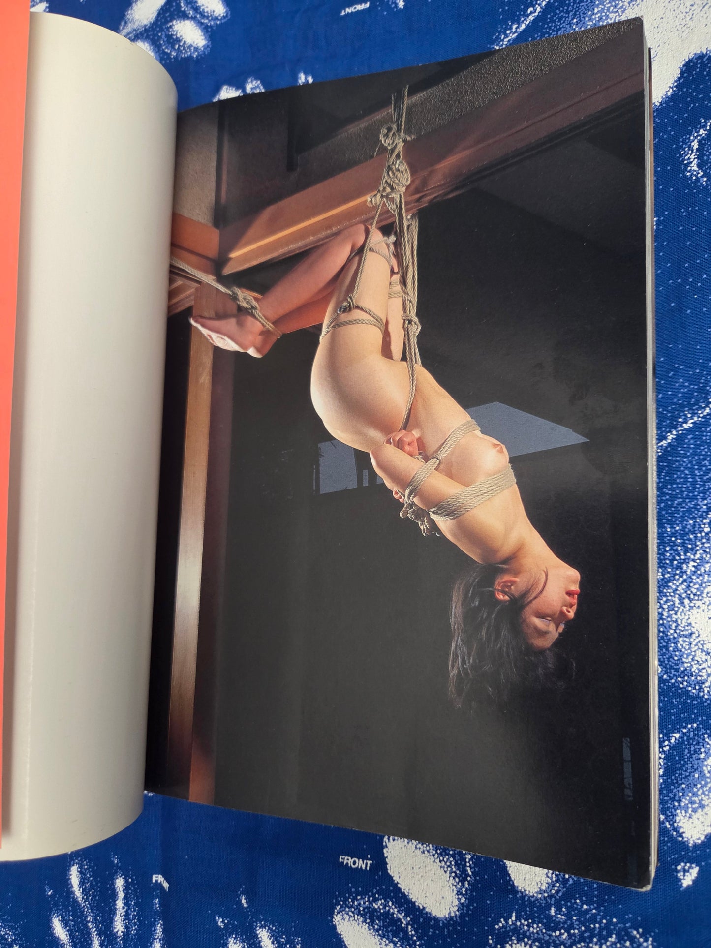SM Bondage Mania Photo Collection (1993)