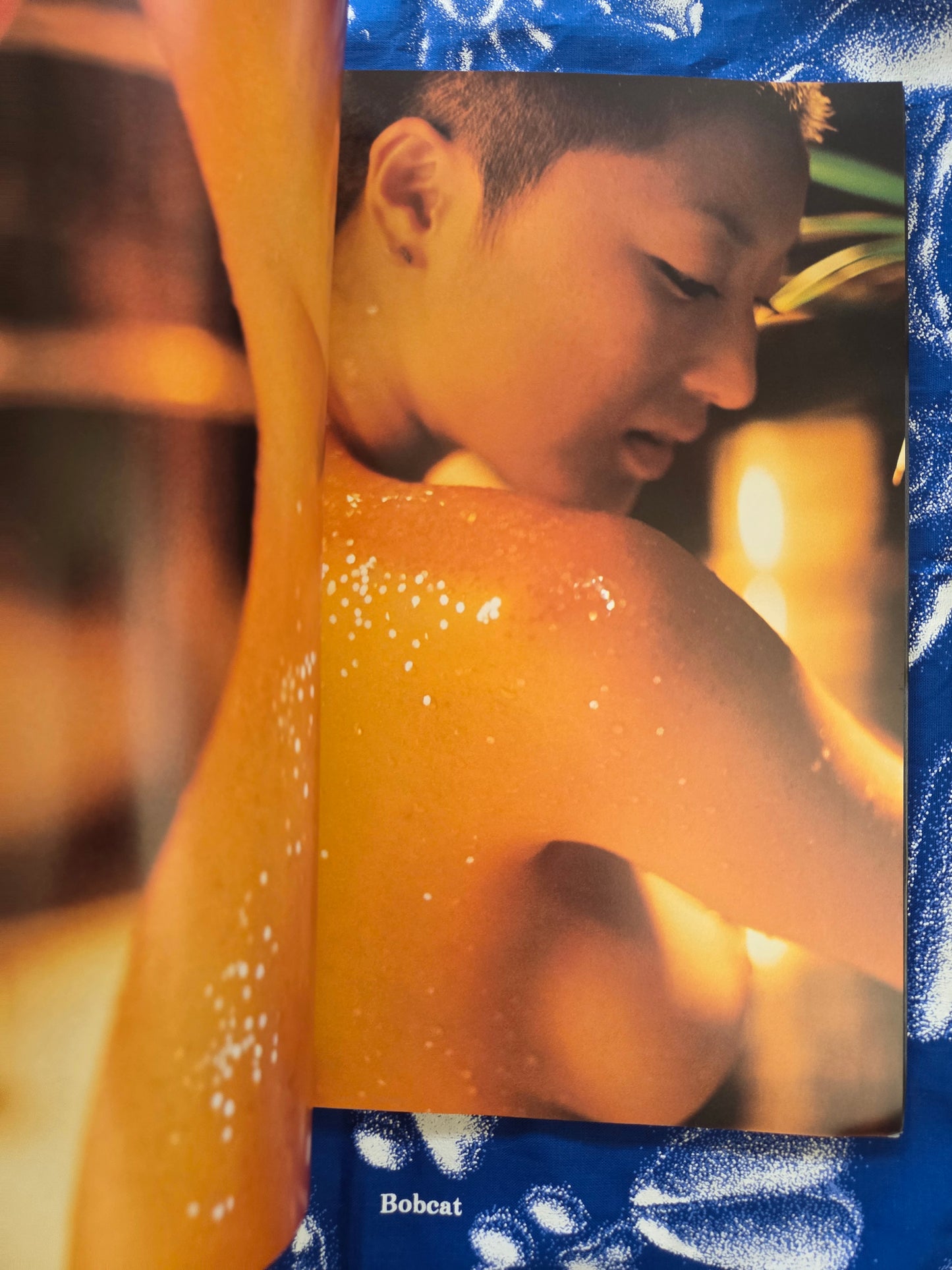 Harumi Inoue Live! - Kishin Shinoyama (1999)