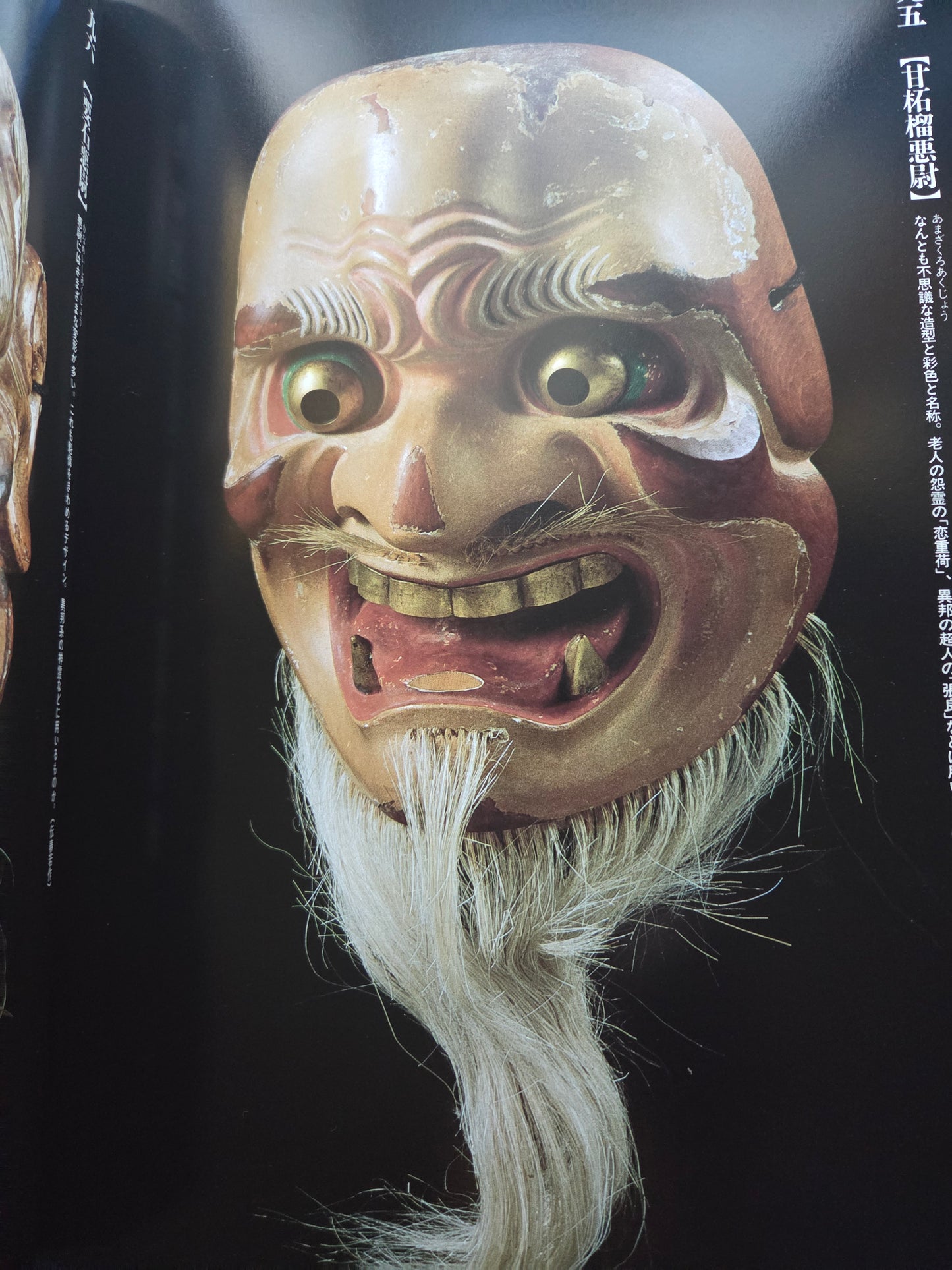 100 Noh Masks of the Ii Family (1986)