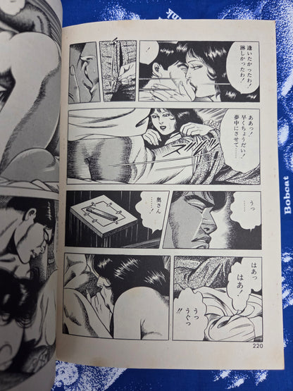 Married Woman: Falling In Love - Takuya Sugawara (1987)