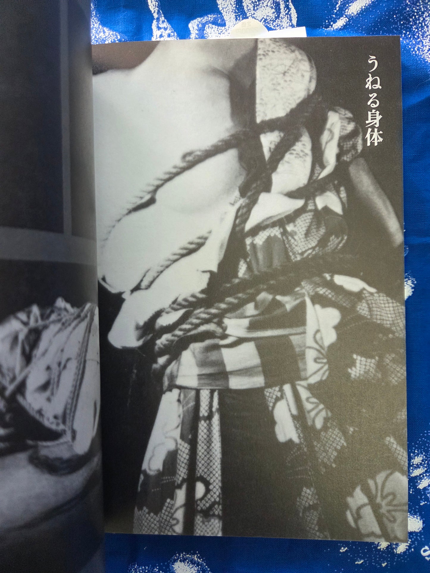 The World Of Seiu Ito Secret Photo Collection (2024)