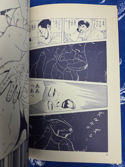 Kinrandonsu - Suehiro Maruo (1995)