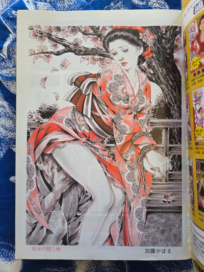 SM Secret Stories - December 2005