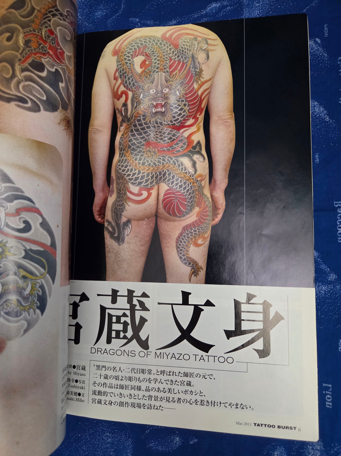 Tattoo Burst Vol 60 (2011)