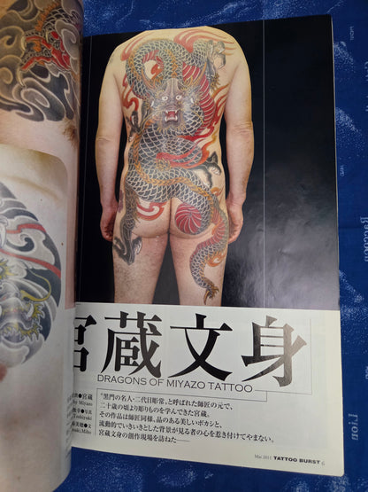 Tattoo Burst Vol 60 (2011)