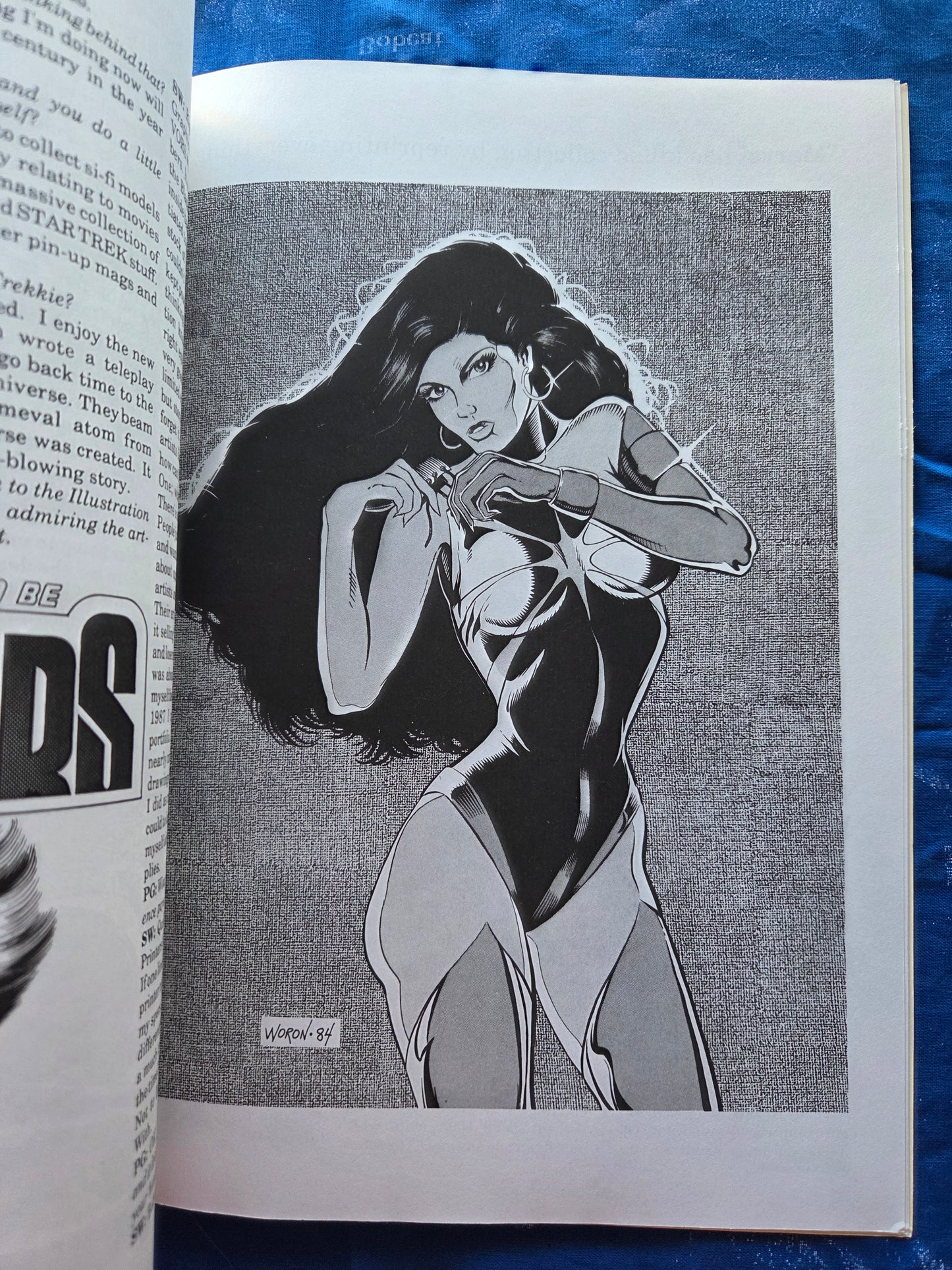 Steve Woron Treasury (1992)