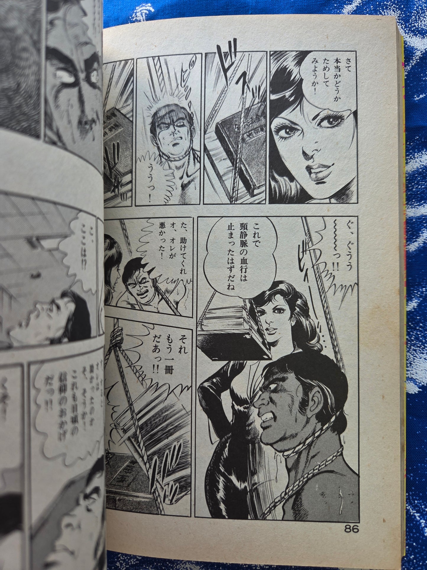 Dark Executioner Female Cat - Mieko Kawasaki (1985)