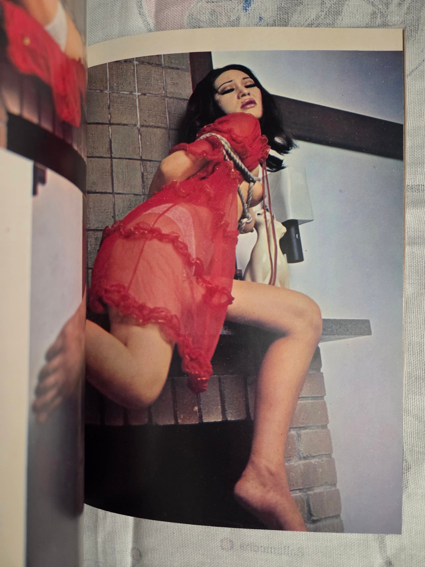 Bondage Photo Special 10 - Dan Oniroku (1971)