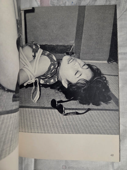 Bondage Photo Special 10 - Dan Oniroku (1971)