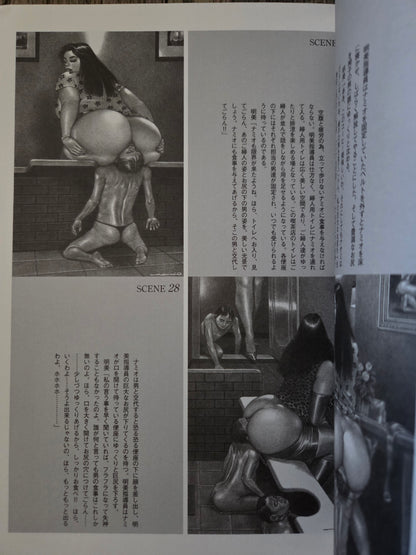 My Fair Fat Lady Volume 2 - Namio Harukawa (2002)
