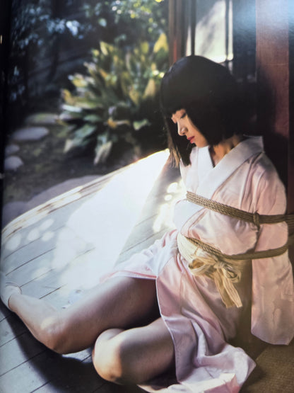 Pleasure And A Little Pain - Kate Asabuki (1995)
