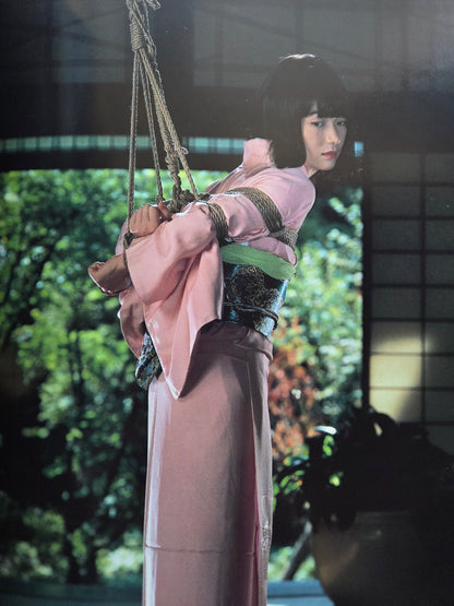 Pleasure And A Little Pain - Kate Asabuki (1995)