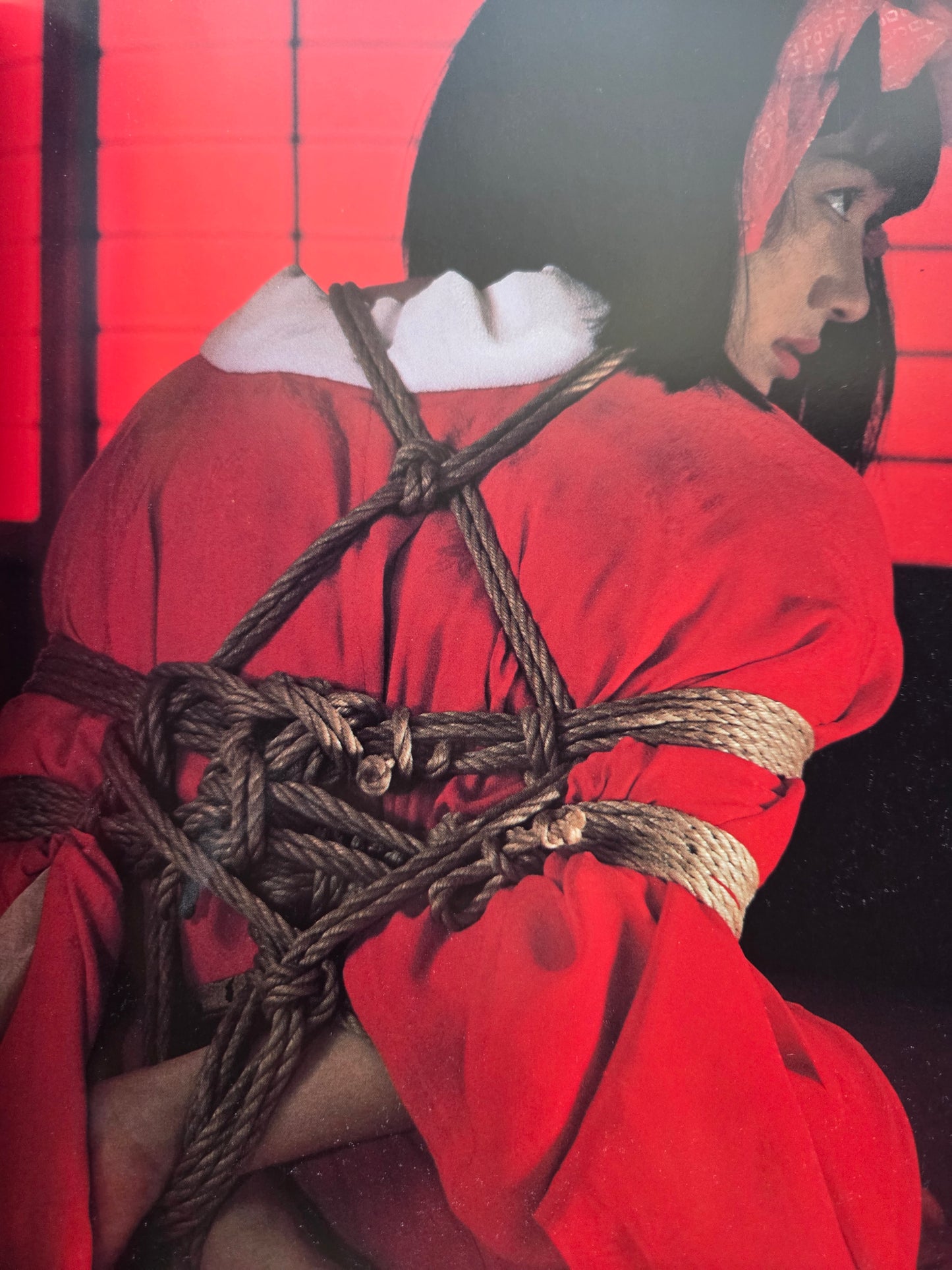 Pleasure And A Little Pain - Kate Asabuki (1995)