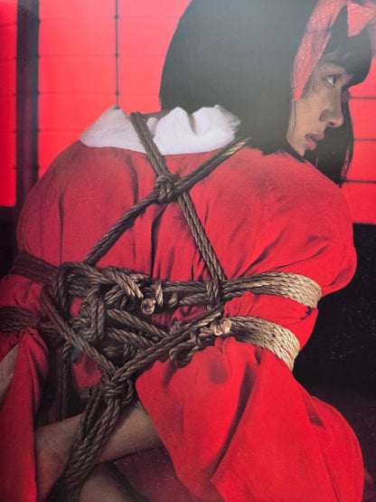 Pleasure And A Little Pain - Kate Asabuki (1995)