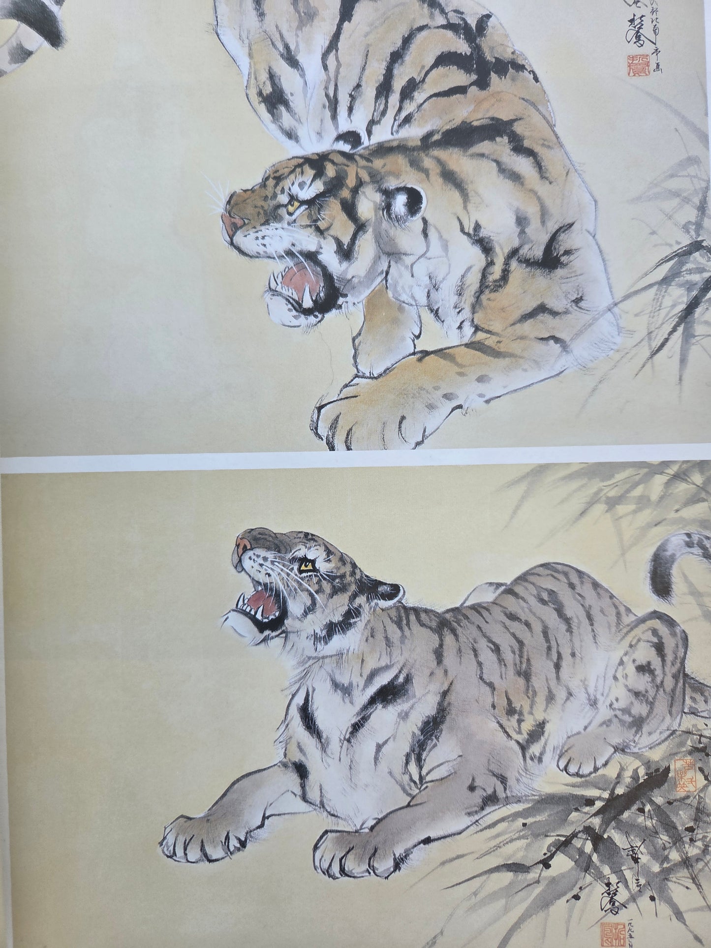 Introduction to Drawing Tigers - Tetsuo Hoshiba (2009)