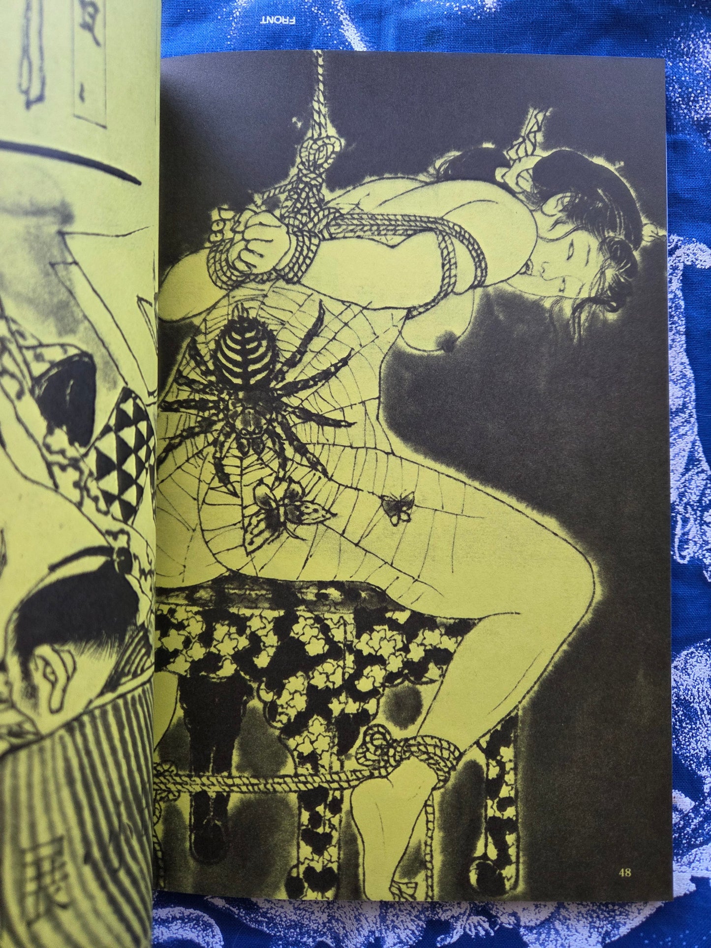 Bondage Ukiyoe - Kazumu Kohinata & Eisho Kikukawa (2026)