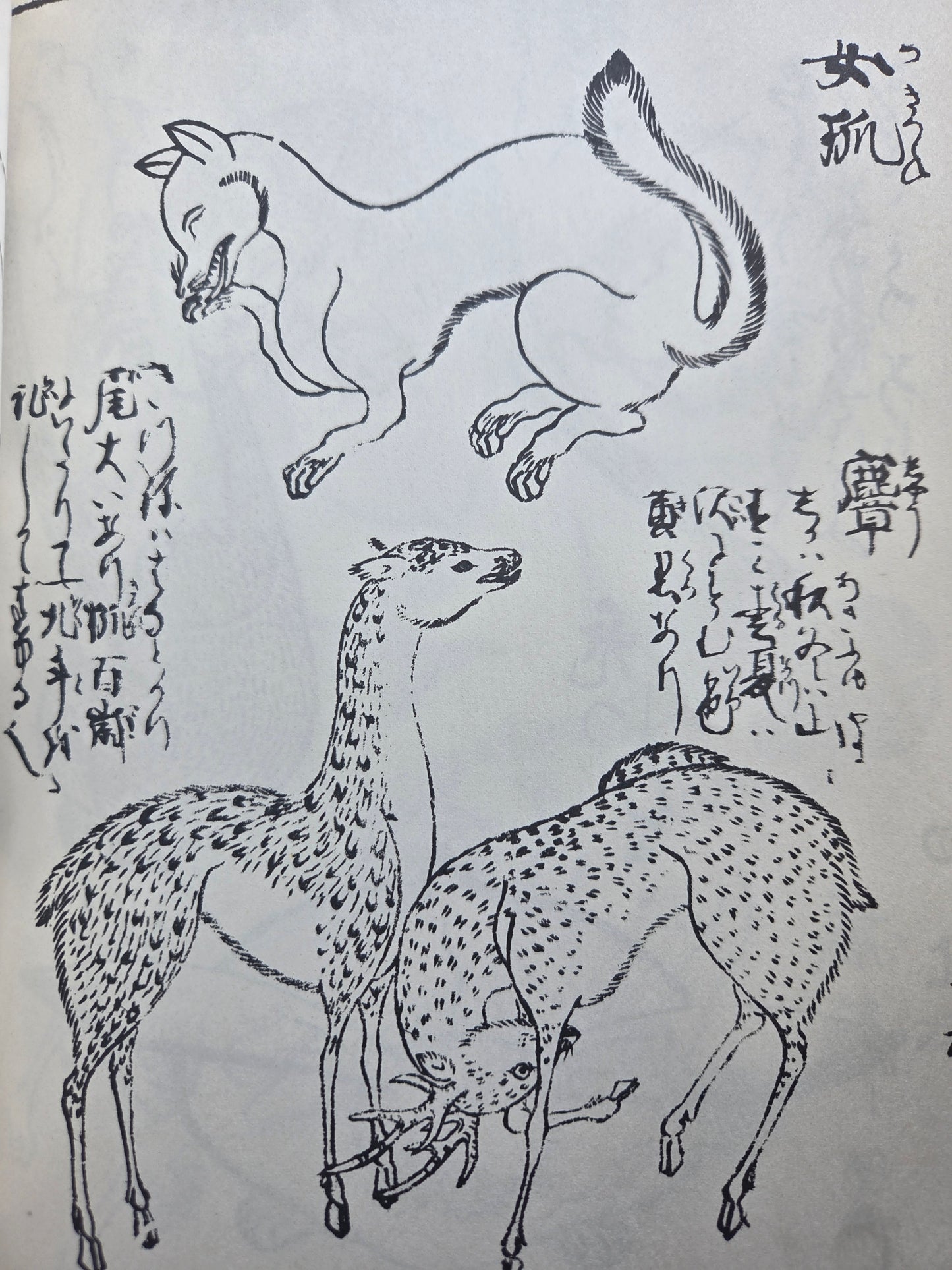 Edo Template Volume 2 - Featuring Hokusai (1975)