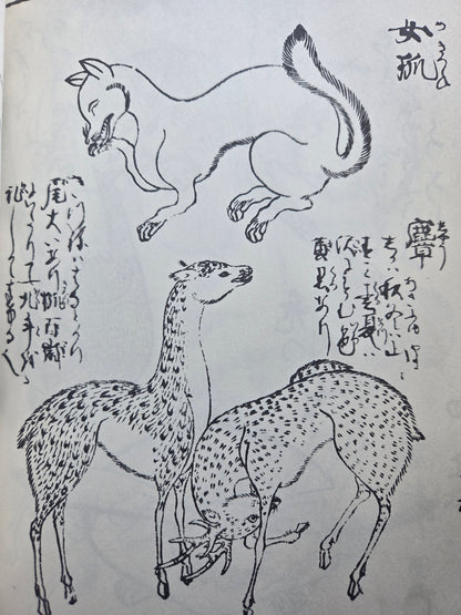 Edo Template Volume 2 - Featuring Hokusai (1975)