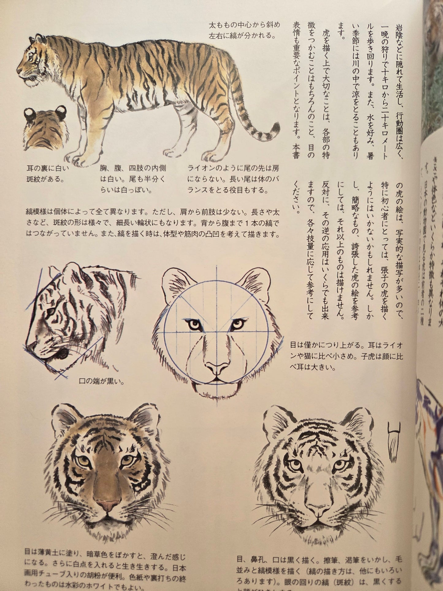 Drawing a Tiger - Yamashita Hideki (2009)
