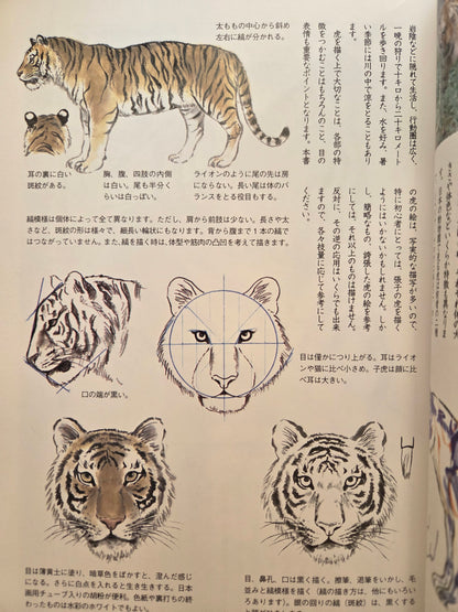 Drawing a Tiger - Yamashita Hideki (2009)