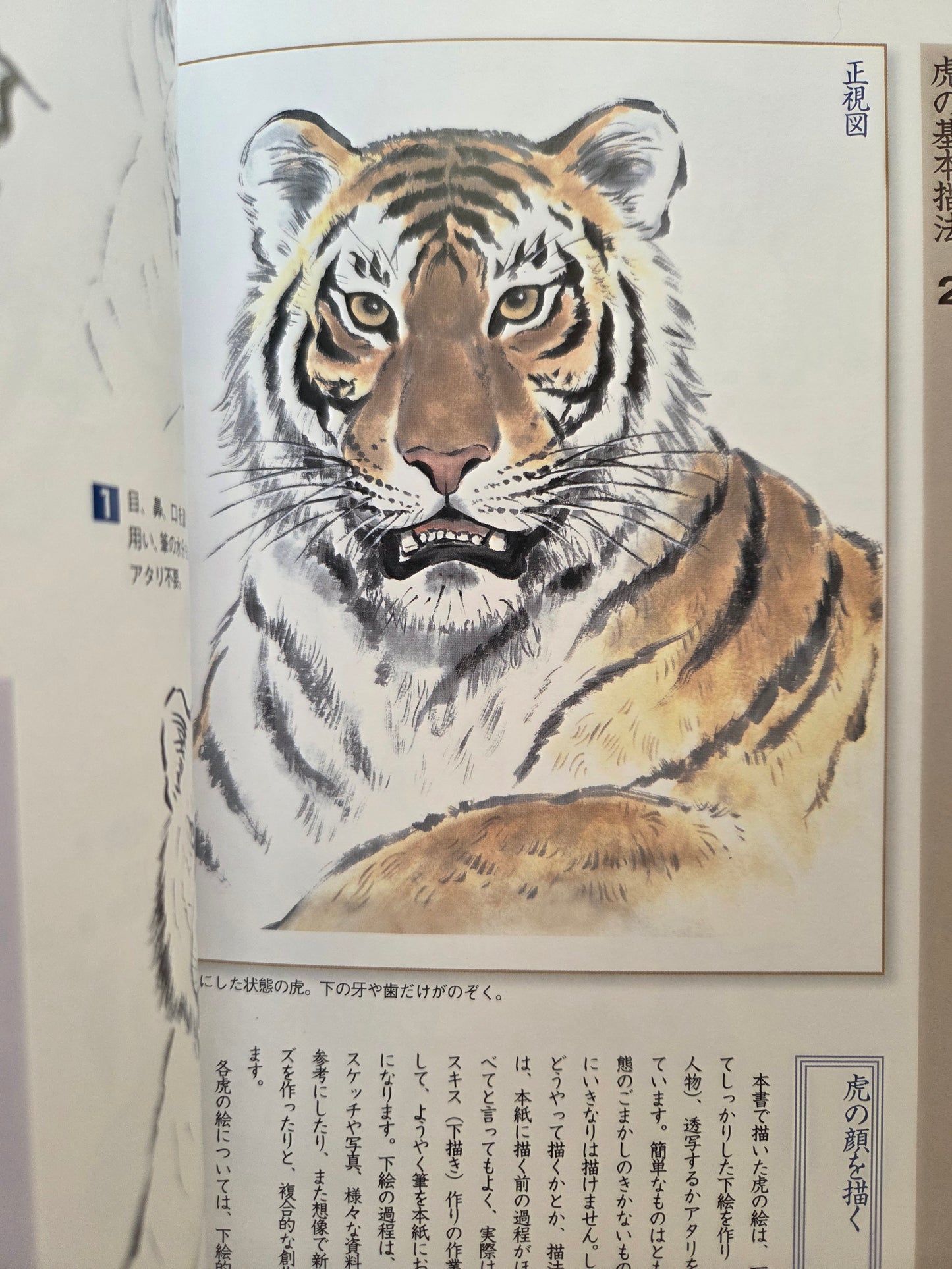 Drawing a Tiger - Yamashita Hideki (2009)