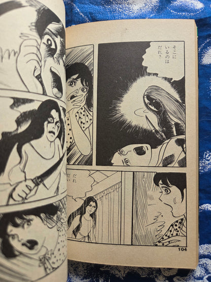 Head of the Bloody Mansion - Miyuki Saga (1987)