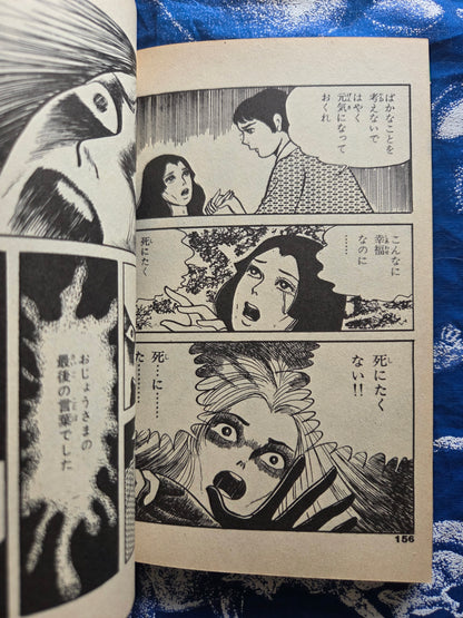 Head of the Bloody Mansion - Miyuki Saga (1987)