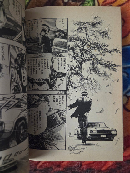 Yasha Complete Set - MIeko Kawasaki (1980)