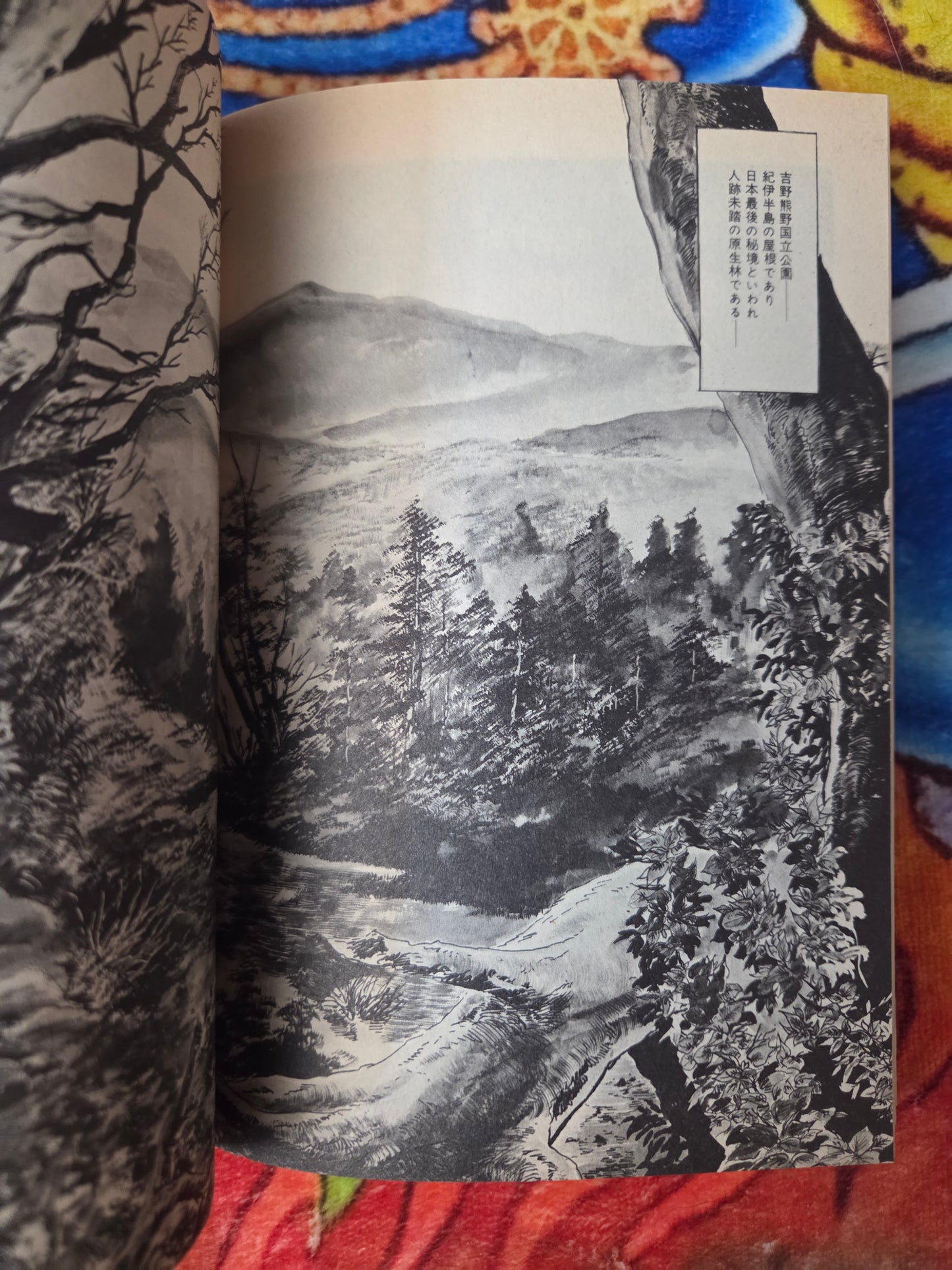 Wolf's Ballad by Ken Tsukikage (1987)