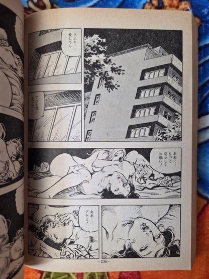 Fallen Angel II - Shiro Kasama (1977)