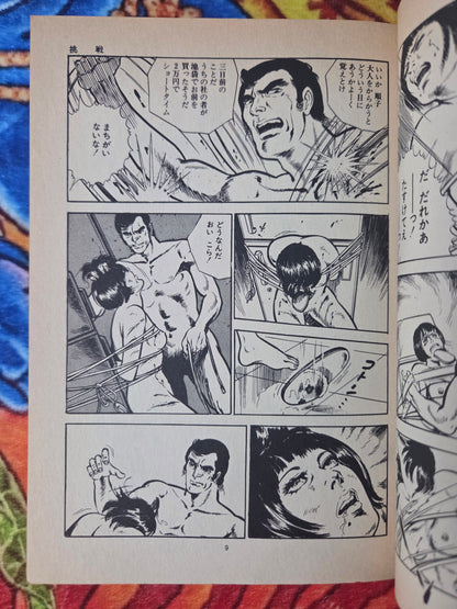 Princess (Hime) Deluxe Set by Mieko Kawasaki (1984)