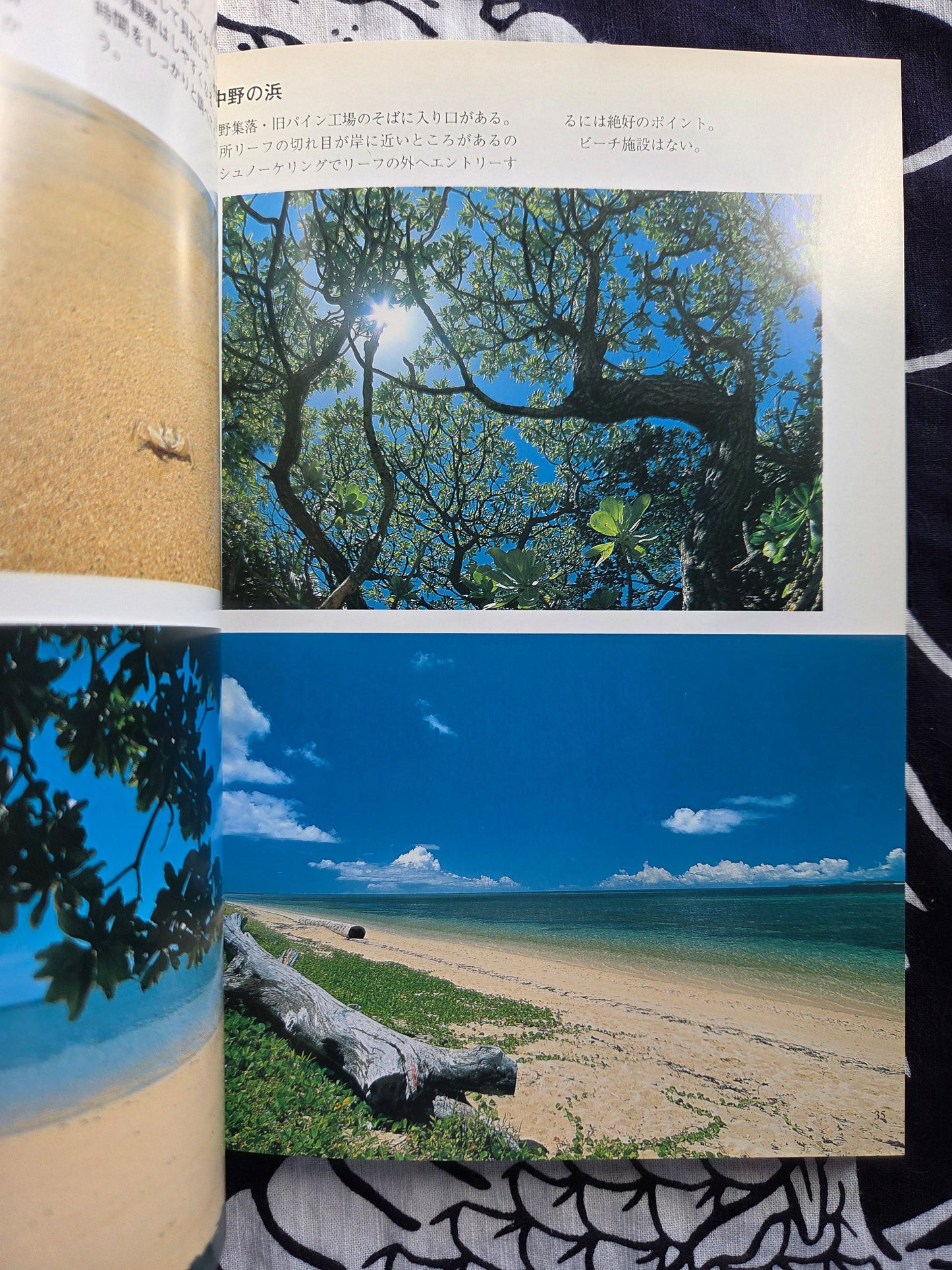 Primary Color Paradise - Iriomote Island (2002)