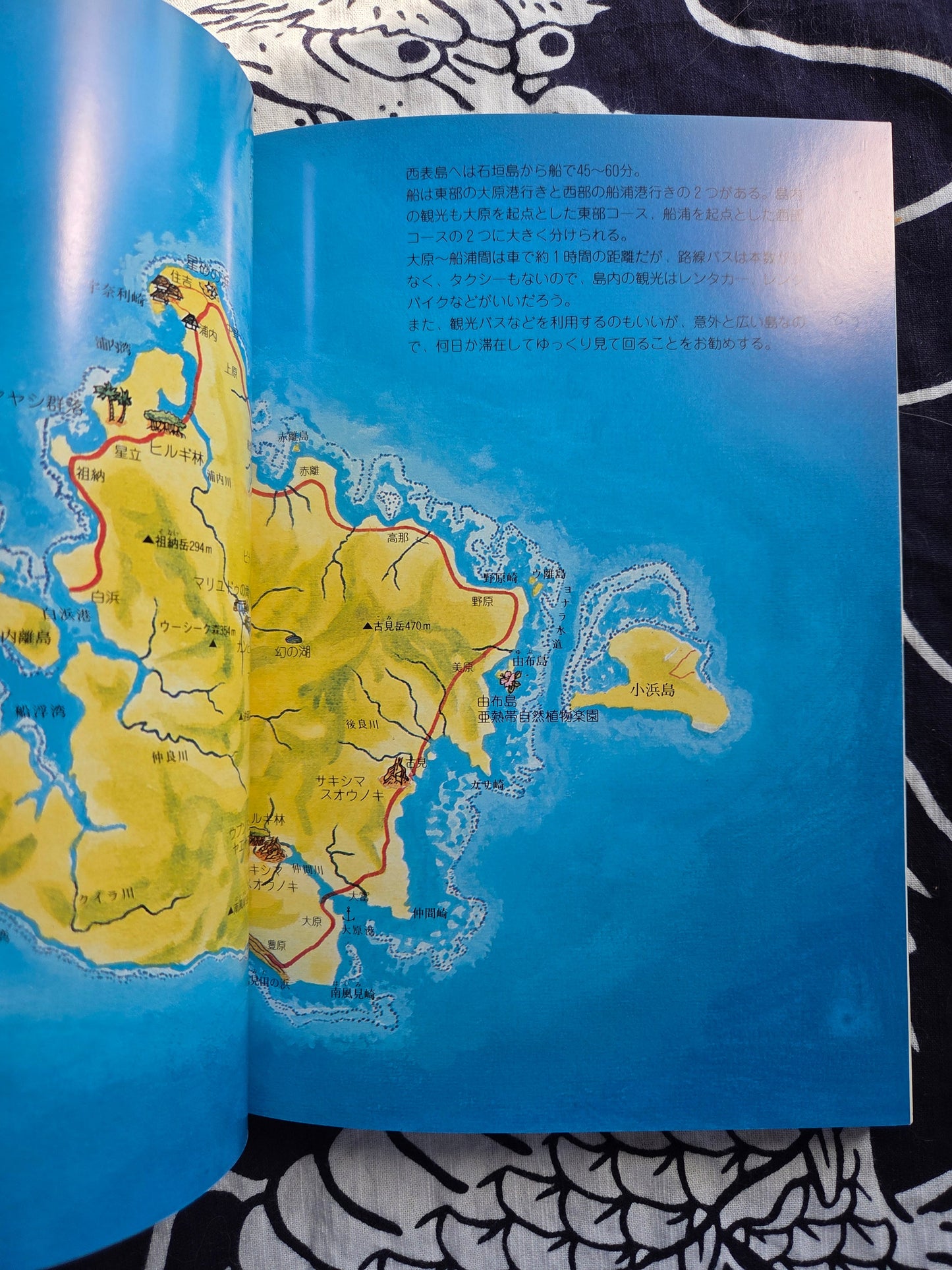 Primary Color Paradise - Iriomote Island (2002)