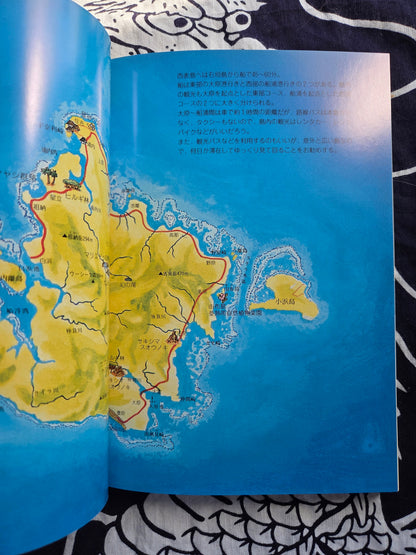 Primary Color Paradise - Iriomote Island (2002)