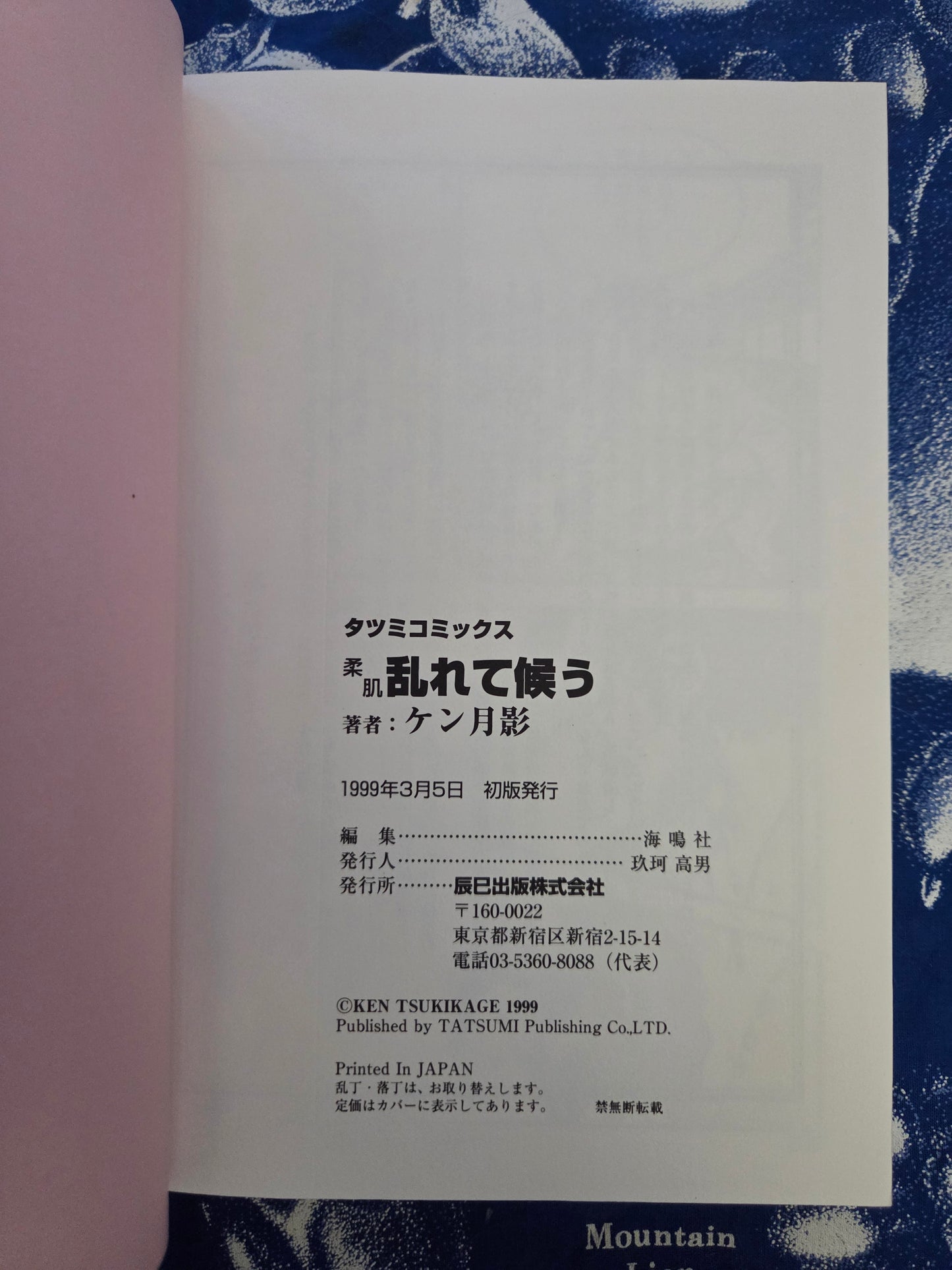 My Skin Feels Rough - Ken Tsukikage (1999)
