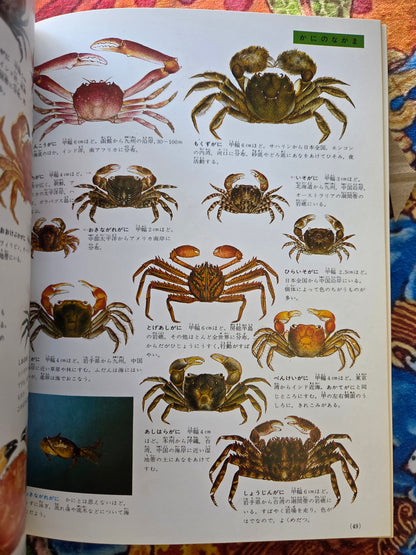 Illustrated Encyclopedia Of Fish And Shellfish (1978)
