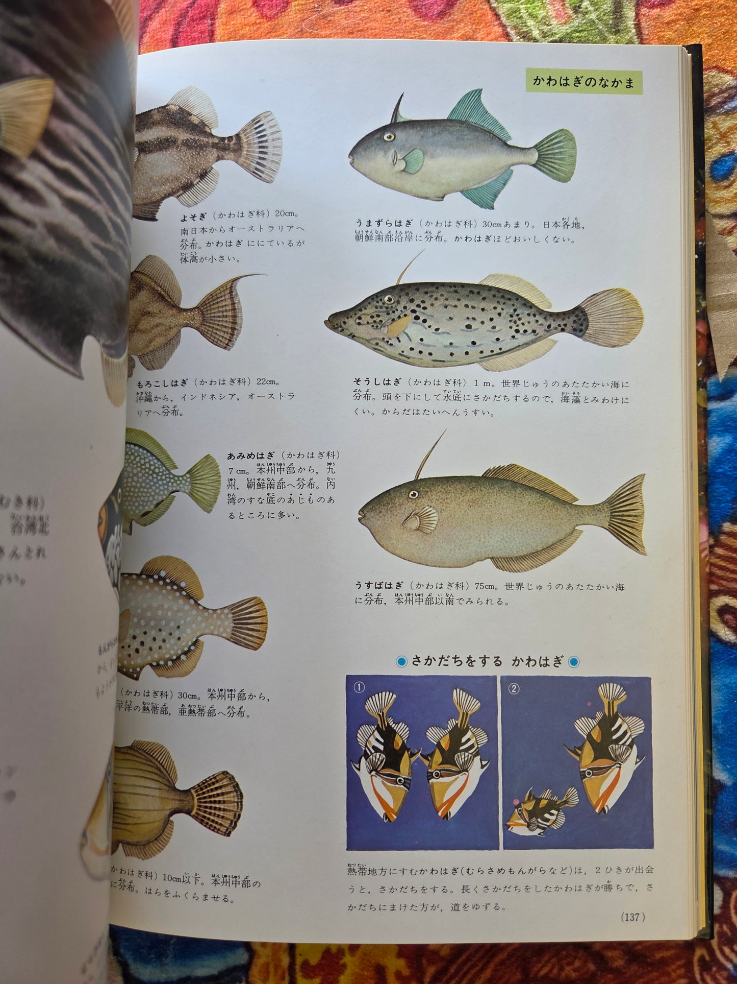 Illustrated Encyclopedia Of Fish And Shellfish (1978)