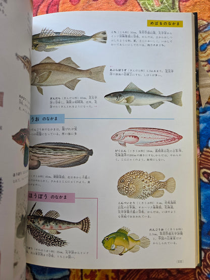 Illustrated Encyclopedia Of Fish And Shellfish (1978)
