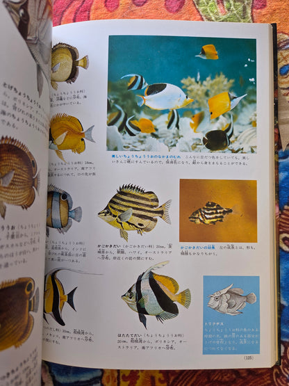Illustrated Encyclopedia Of Fish And Shellfish (1978)