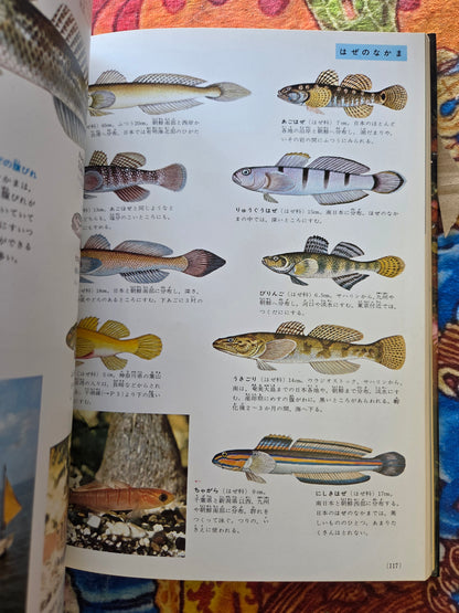Illustrated Encyclopedia Of Fish And Shellfish (1978)
