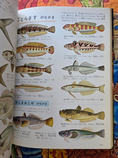 Illustrated Encyclopedia Of Fish And Shellfish (1978)