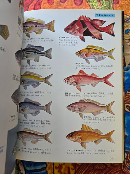 Illustrated Encyclopedia Of Fish And Shellfish (1978)