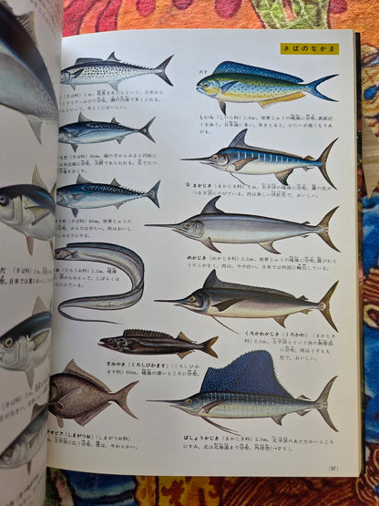 Illustrated Encyclopedia Of Fish And Shellfish (1978)