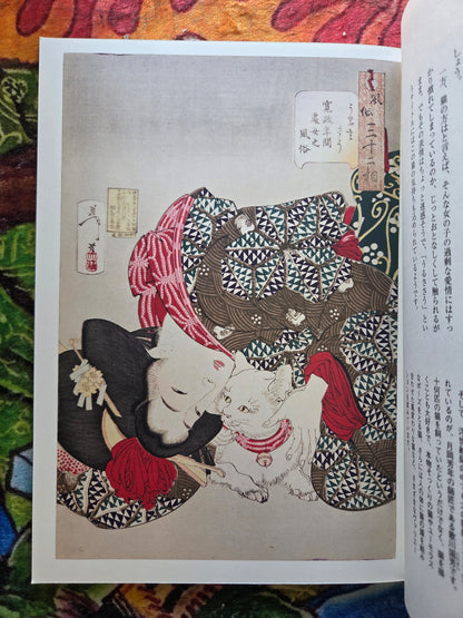 Thirty Two Phases of Customs - Yoshitoshi Tsukioka (2010)