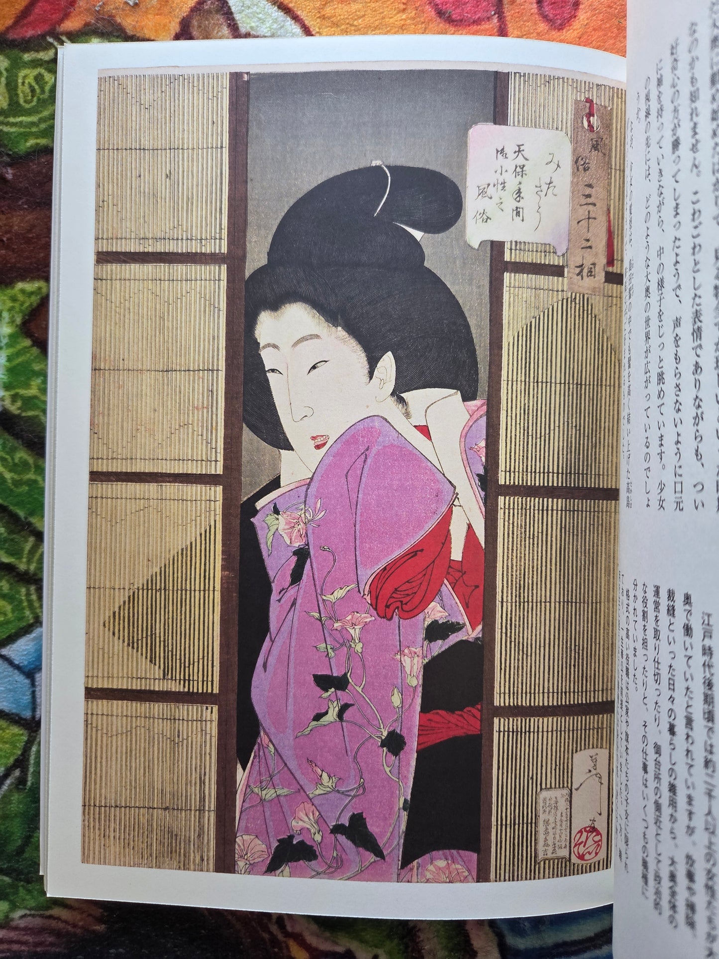 Thirty Two Phases of Customs - Yoshitoshi Tsukioka (2010)
