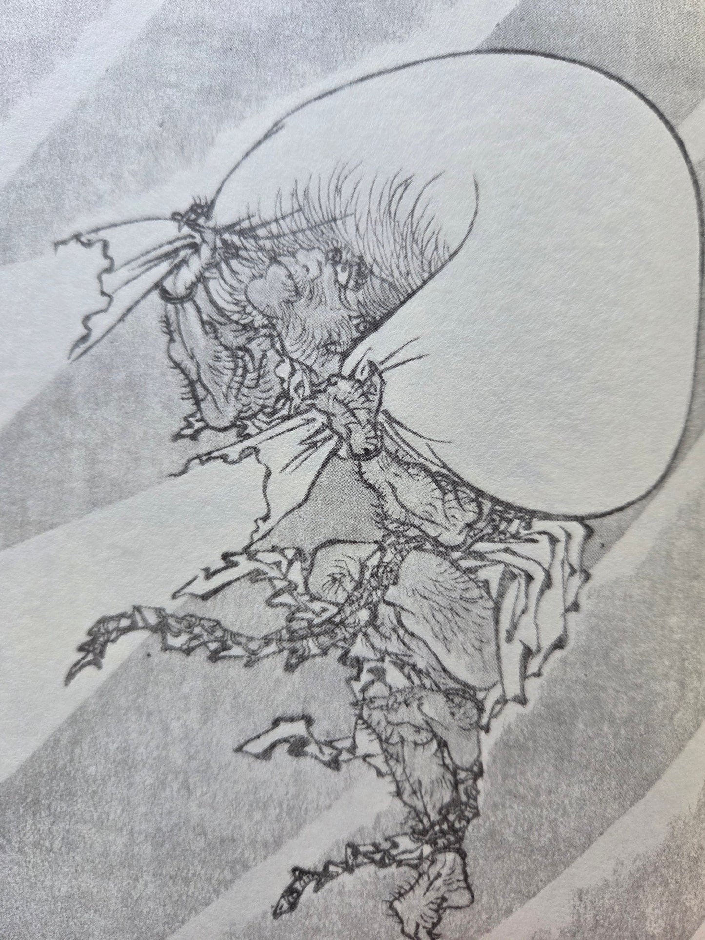 Hokusai Sketch Book Three Volume Set (1985)