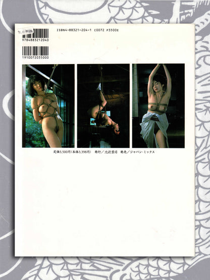 Pleasure And A Little Pain - Kate Asabuki (1995)