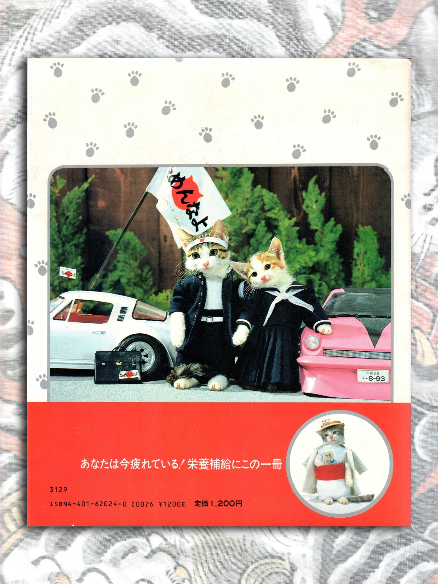 Don't Mess With Me! Namennayo Cats (1981)