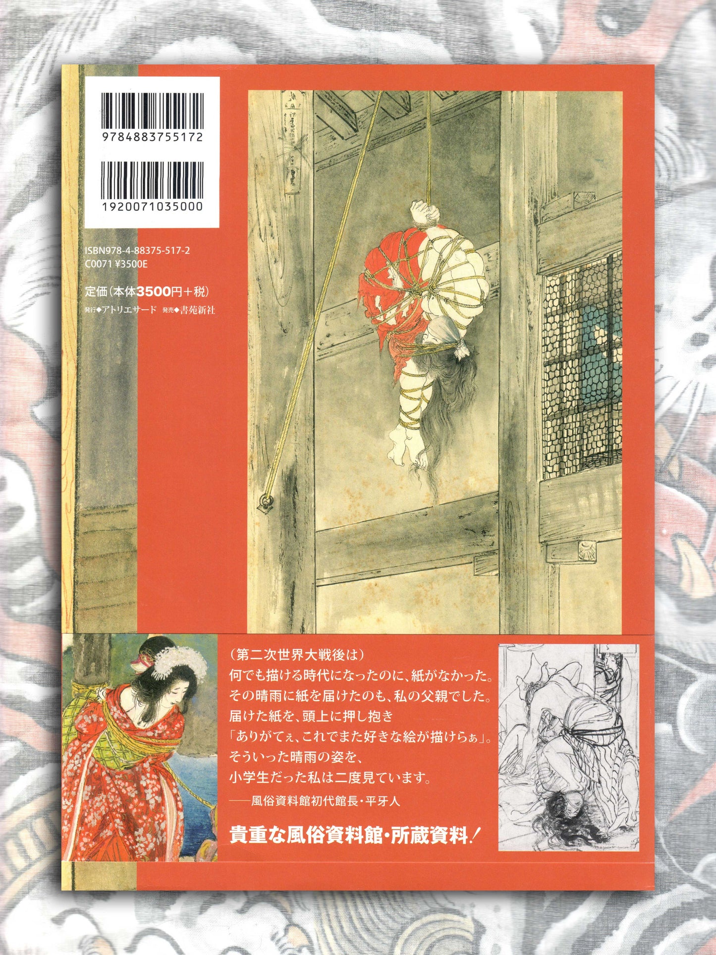 Seiu Ito's Treasured Blame Paintings & Drawings (2024)