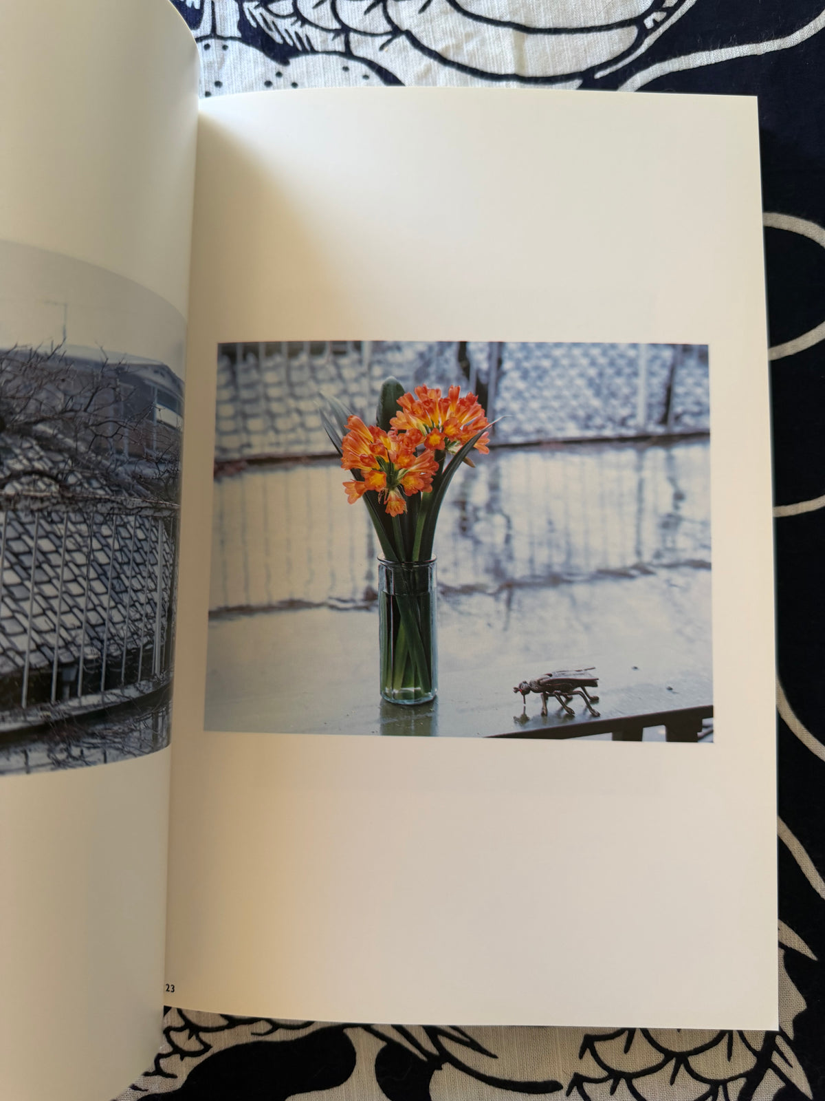 Sensual Flowers - Nobuyoshi Araki (1996)